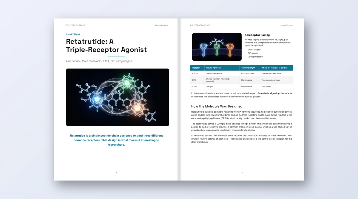 The Peptide Blueprint open book showing educational peptide content