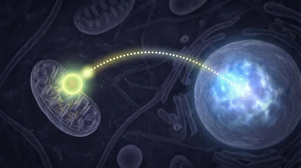 The Peptide Blueprint research guide with scientific citations